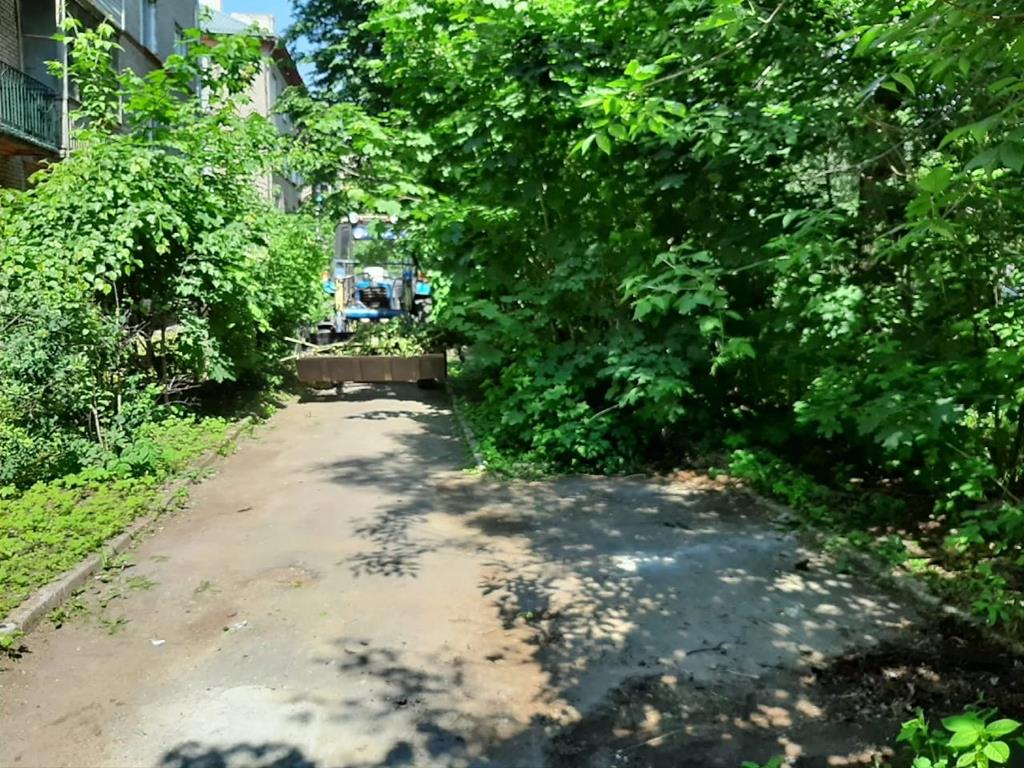Ленина 8, Уборка веток 29.05.2019