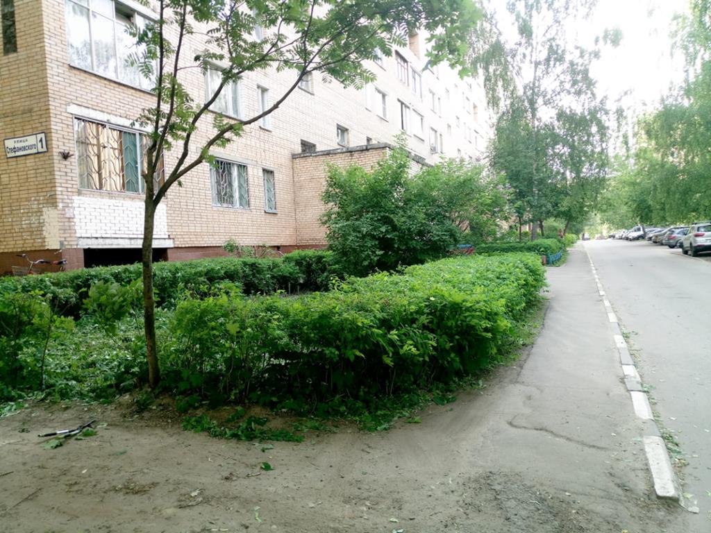 Стефановского 1 Обрезка кустов 30.05.2019